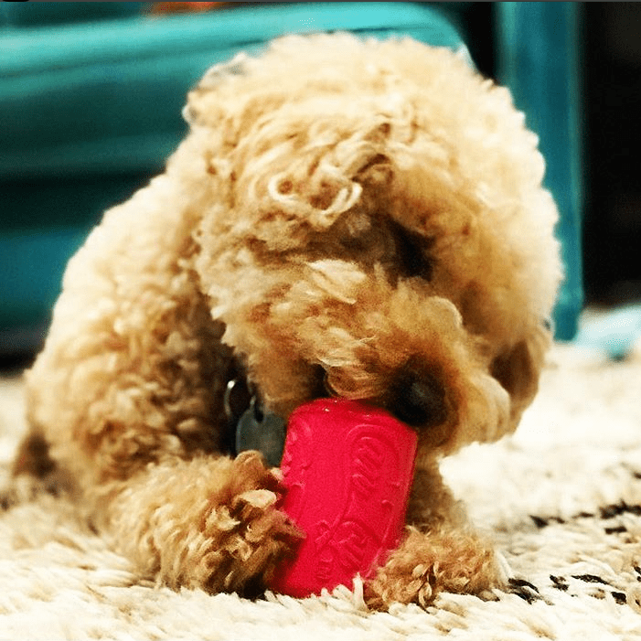 SodaPup Puppy Can Rubber Chew Toy & Treat Dispenser – USA-Made Teething & Enrichment Toy for Puppies