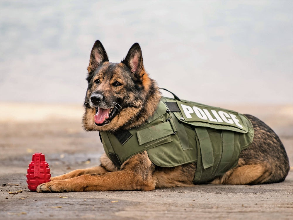 USA-K9 Grenade Dog Toy – Durable Rubber Treat Dispenser Chew Toy (Magnum Black)