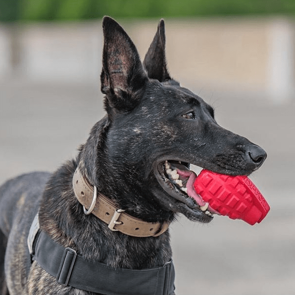 USA-K9 Grenade Treat Dispenser Dog Toy – Made in USA Natural Rubber Extreme Chew Toy for Power Chewers