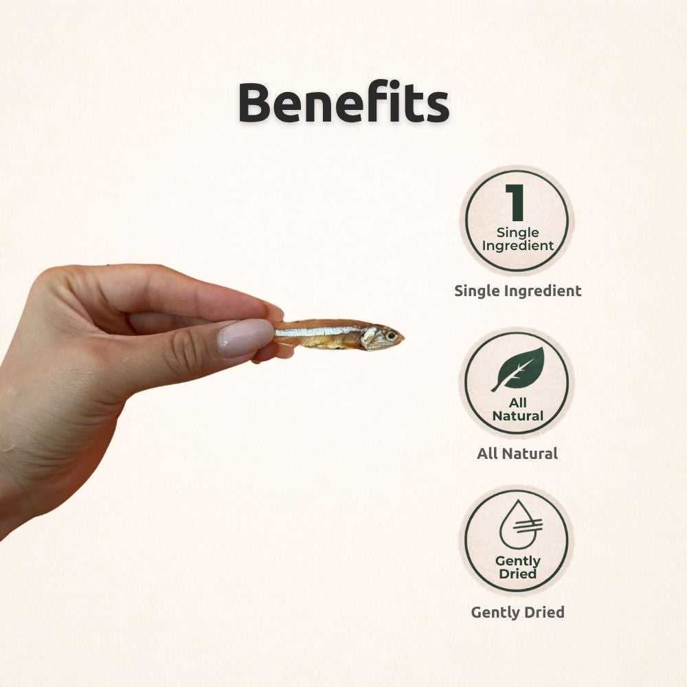 FreezeBone Sprats Dog Treats – Single Ingredient High-Protein Fish Treats (8oz Value Size)