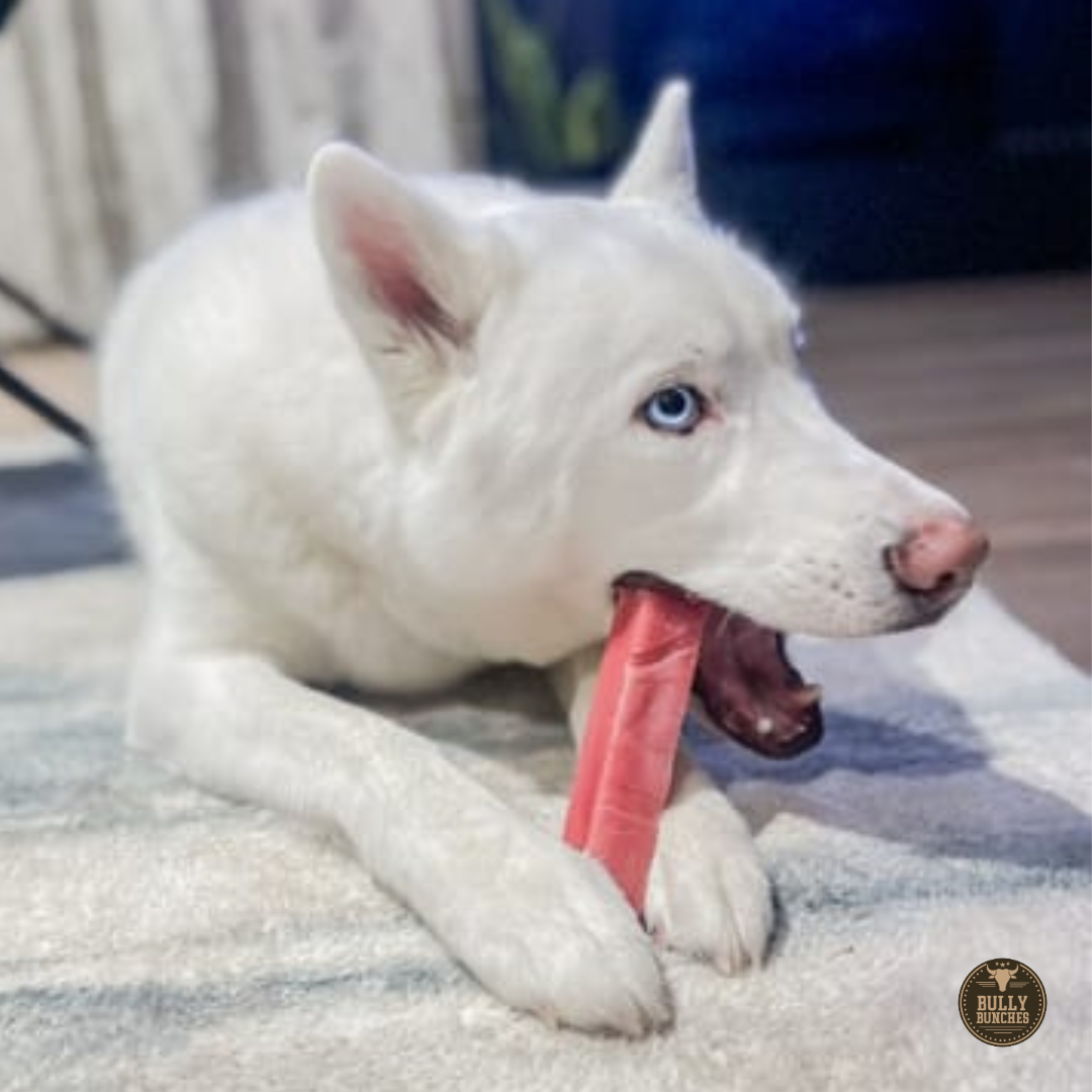 Strawberry Yak Chews for Dogs – Long-Lasting, All-Natural Himalayan Treat Infused with Real Strawberry