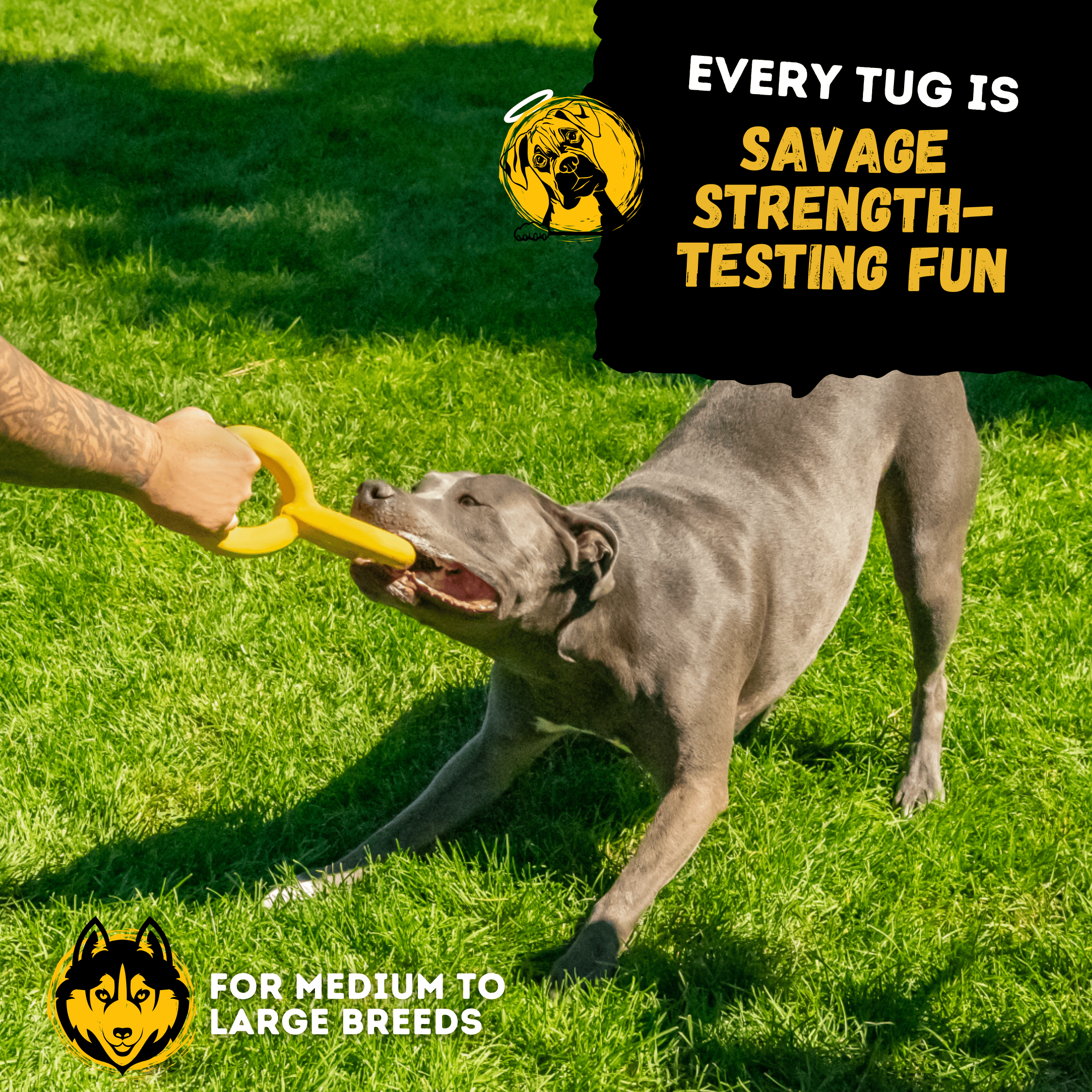WOOFBITE™ Tugs Rings – Indestructible Ring Ball for Aggressive Chewers