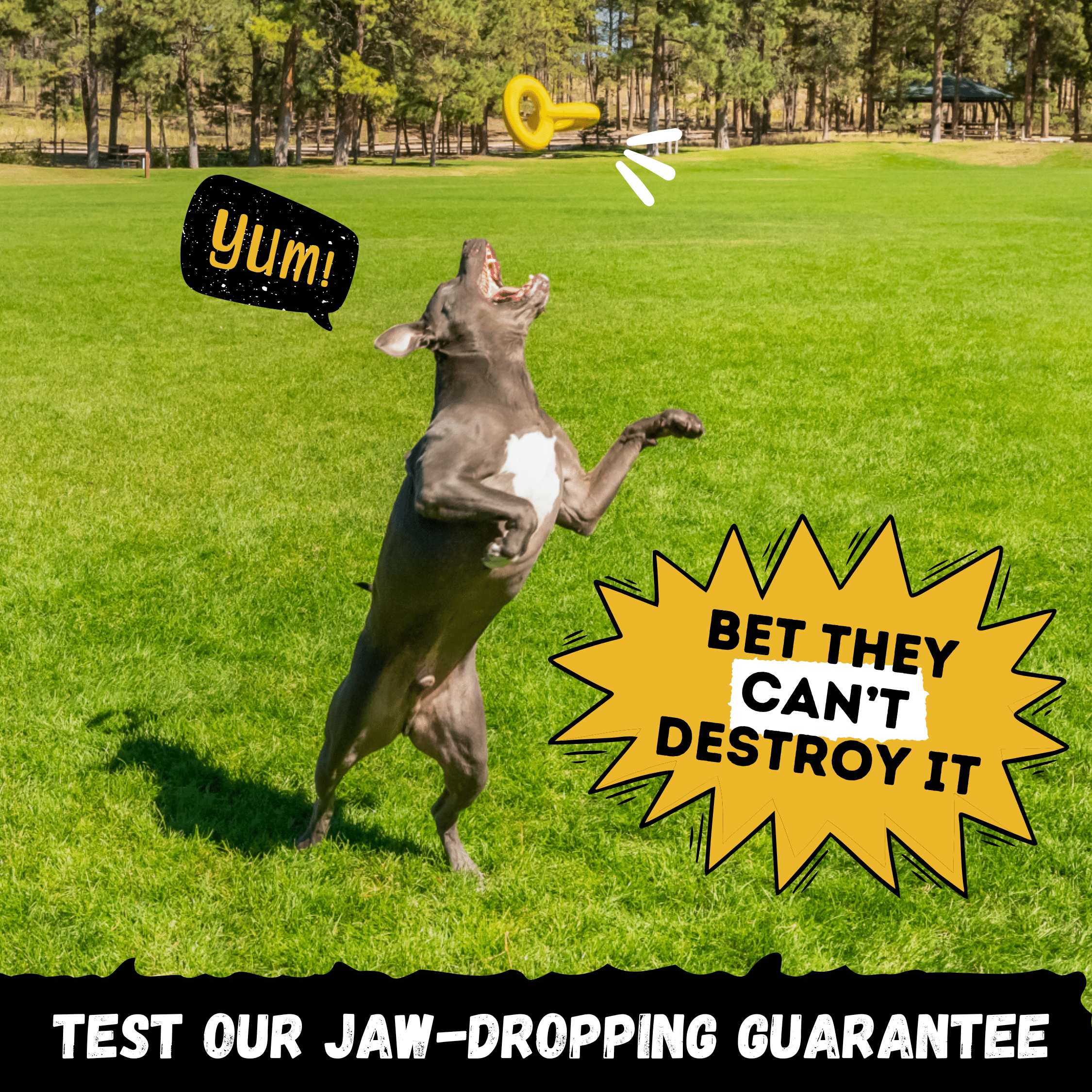 WOOFBITE™ Tugs Rings – Indestructible Ring Ball for Aggressive Chewers