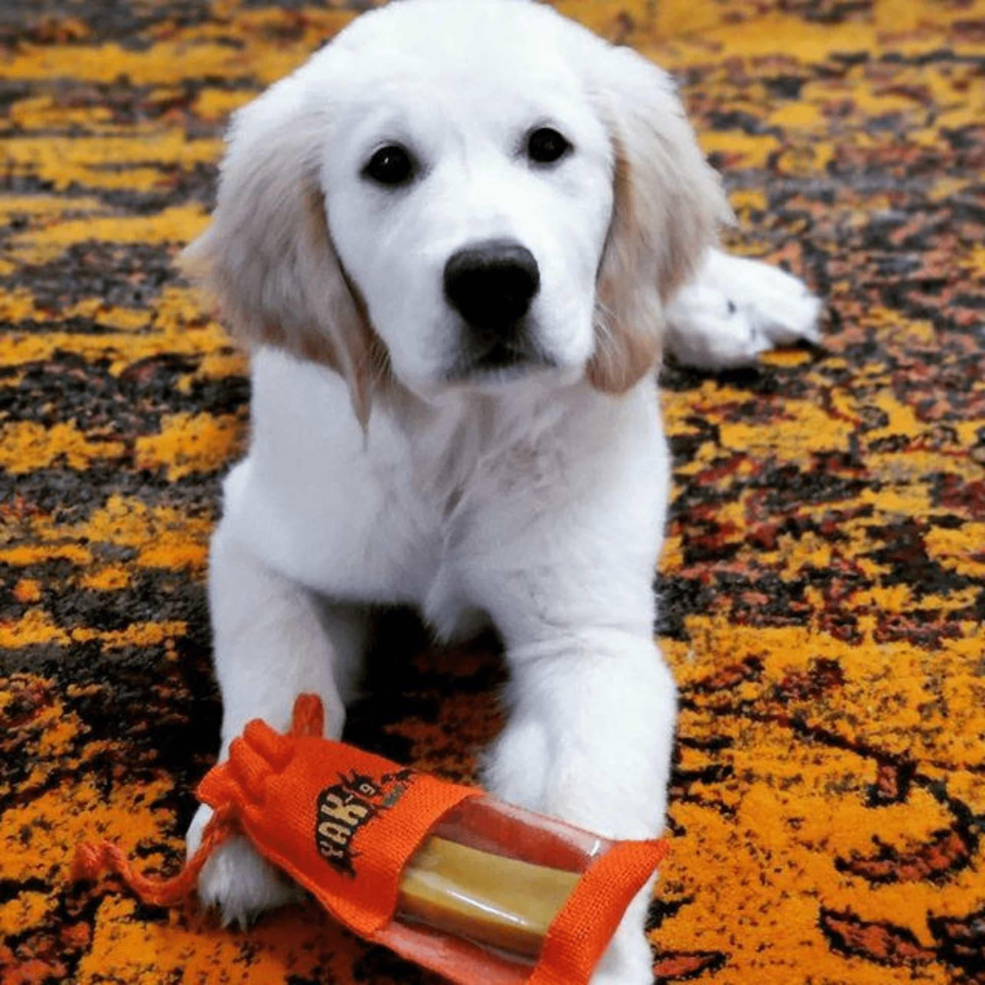 Yak9 Turmeric Yak Cheese Dog Chews – Natural Long-Lasting Chews for Joint, Dental & Digestive Health