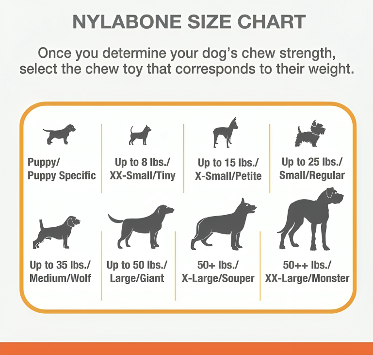 Nylabone Puppy Teething Chew Toy Key Ring – Soothing Teether for Gentle Chewers