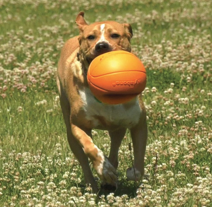 Nylabone Power Play B-Ball Gripz – Durable Interactive Basketball Dog Toy for Fetch & Chewing