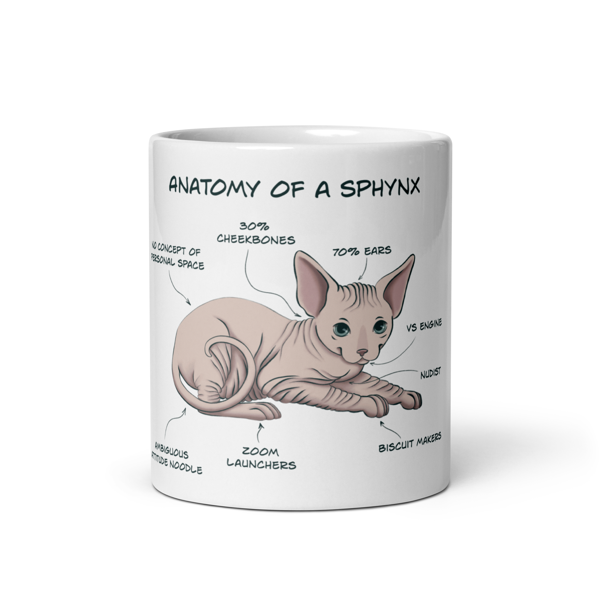 Sphynx Cat Anatomy Mug – Funny Ceramic Coffee Cup for Cat Lovers