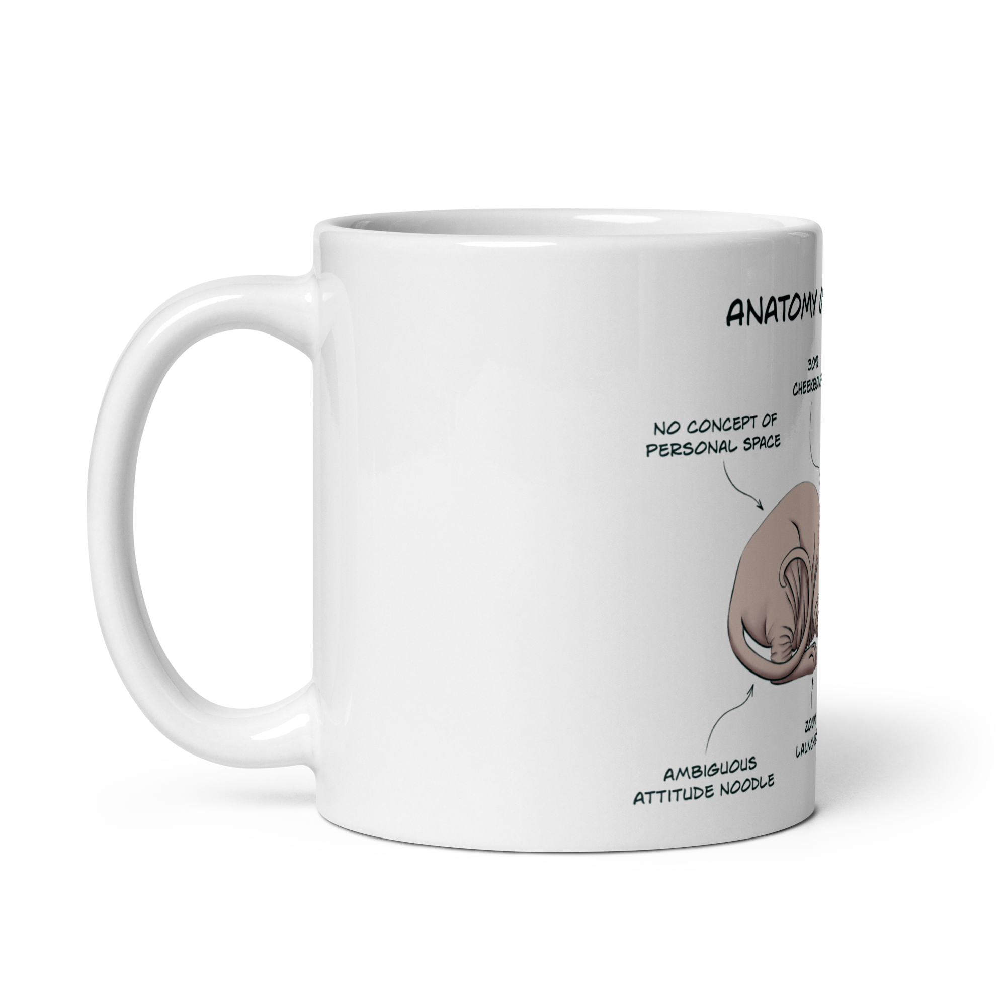 Sphynx Cat Anatomy Mug – Funny Ceramic Coffee Cup for Cat Lovers
