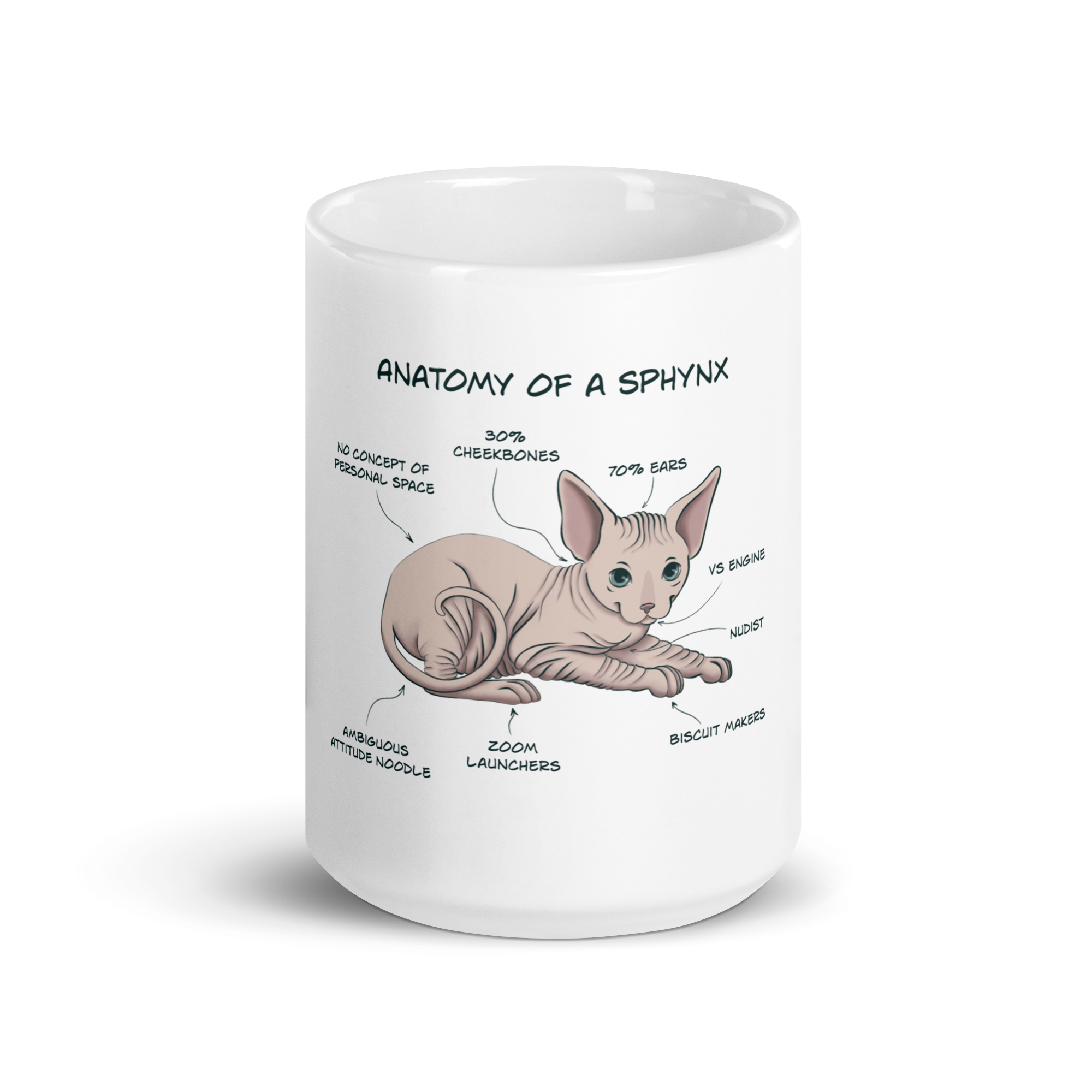 Sphynx Cat Anatomy Mug – Funny Ceramic Coffee Cup for Cat Lovers