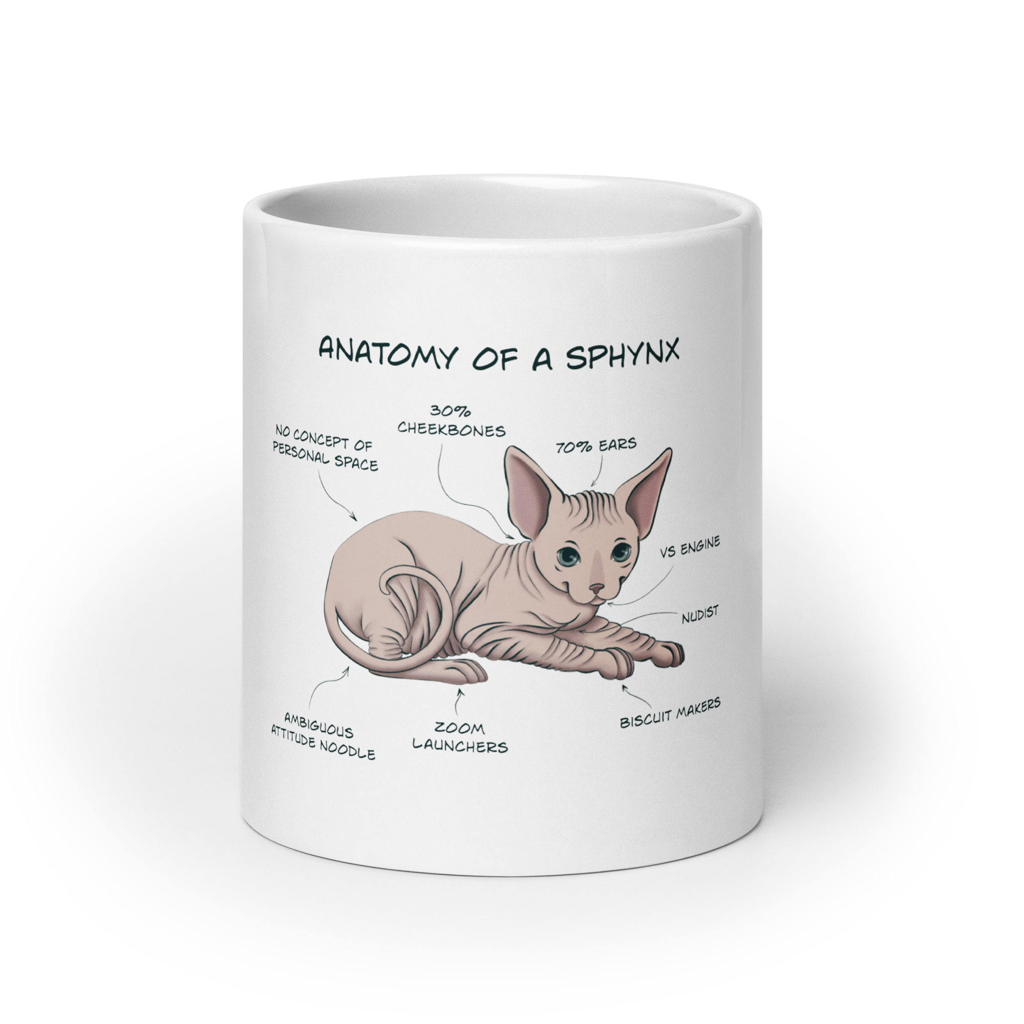 Sphynx Cat Anatomy Mug – Funny Ceramic Coffee Cup for Cat Lovers