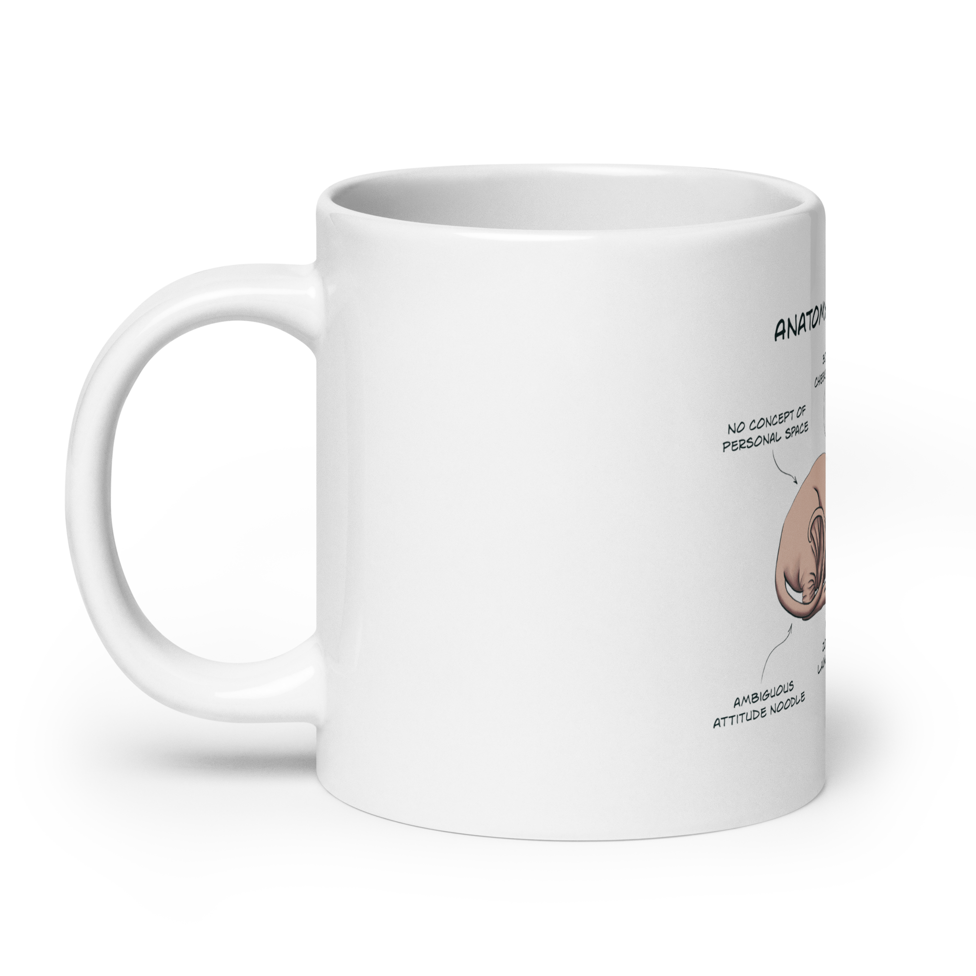 Sphynx Cat Anatomy Mug – Funny Ceramic Coffee Cup for Cat Lovers