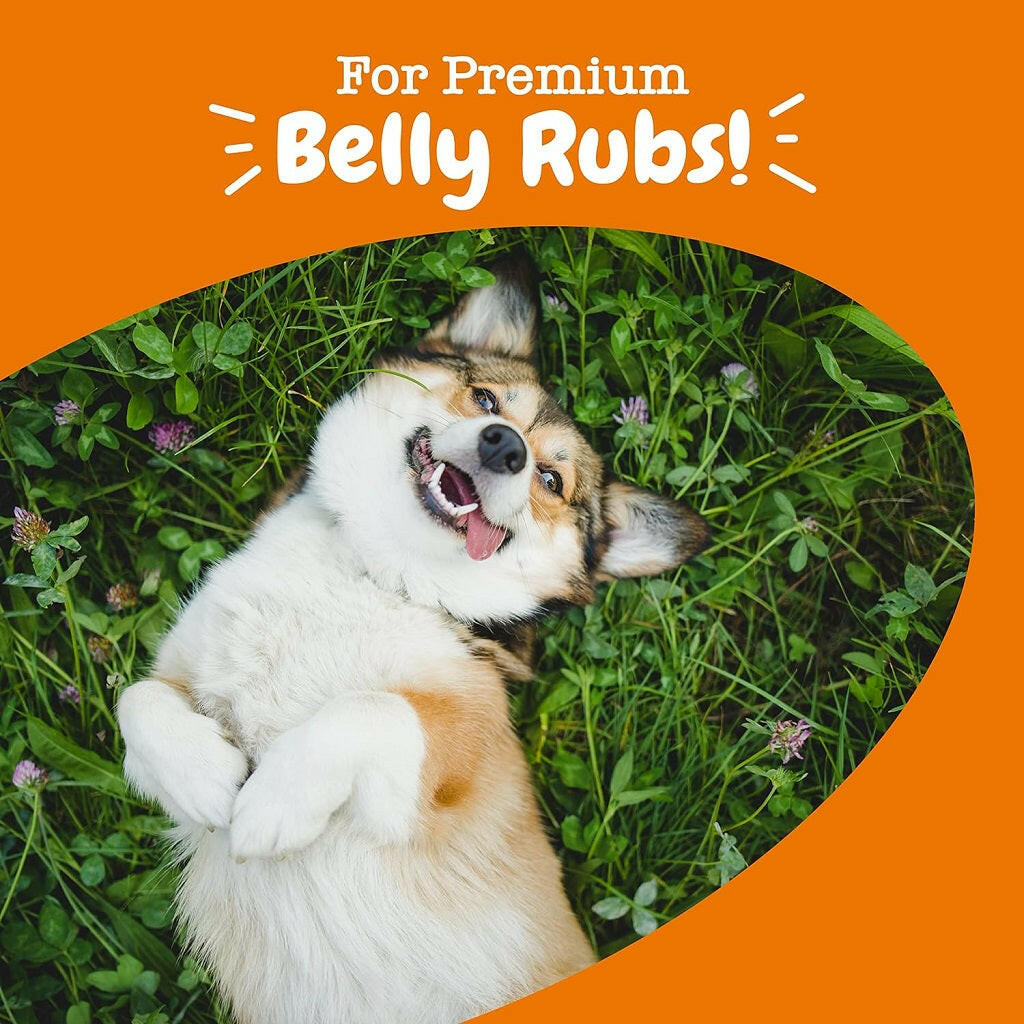 Zesty Paws Probiotic Bites for Dogs – Pumpkin Flavor Digestive Chews, 90 Ct
