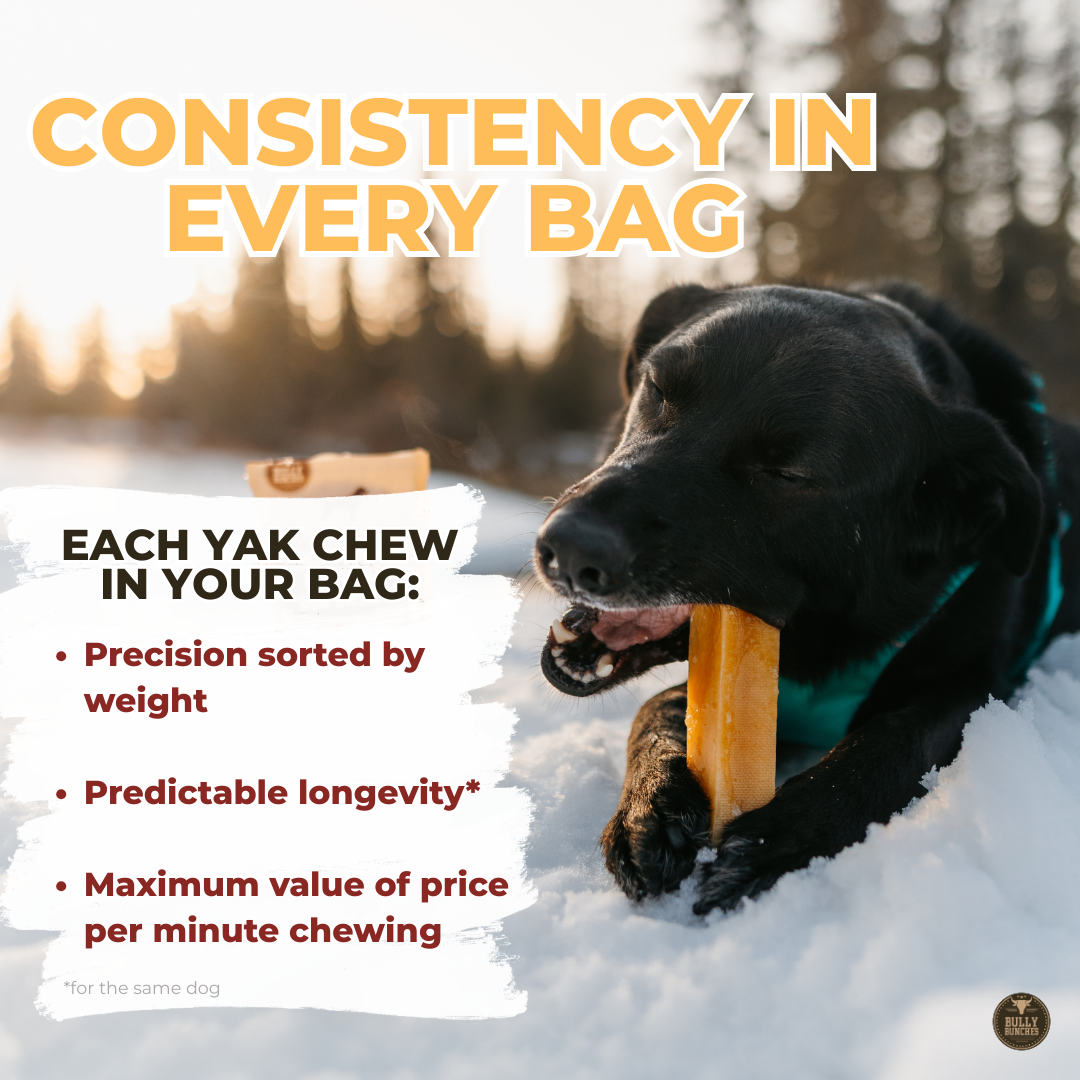 Large Yak Cheese Dog Chews – Long-Lasting Himalayan Yak Milk Chew for Medium Dogs (120–155g)