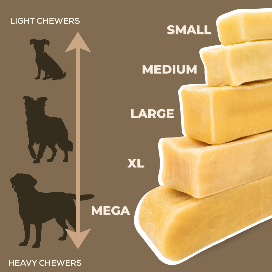 Mega Yak Cheese Dog Chew – Extra Large Himalayan Yak Milk Chew for Aggressive Chewers (190g+)