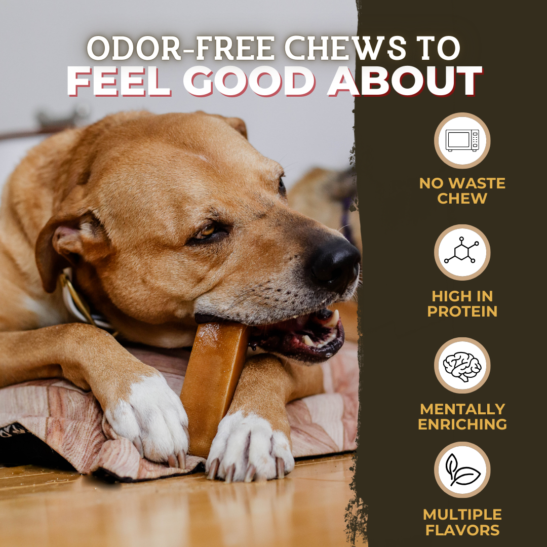 Mega Yak Cheese Dog Chew – Extra Large Himalayan Yak Milk Chew for Aggressive Chewers (190g+)