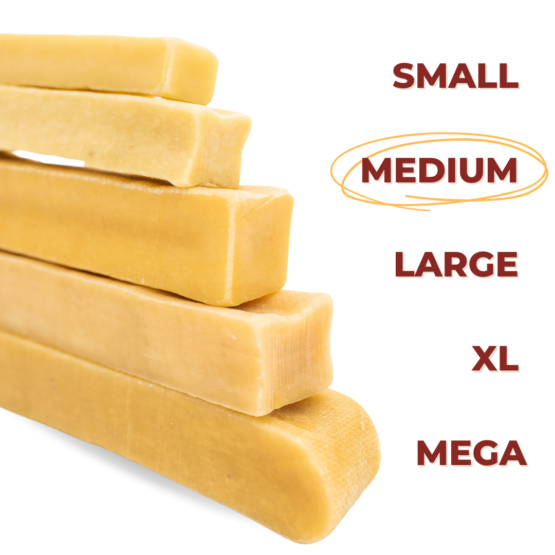 Medium Yak Chews – Himalayan Yak Cheese Dog Chews for Small & Medium Dogs