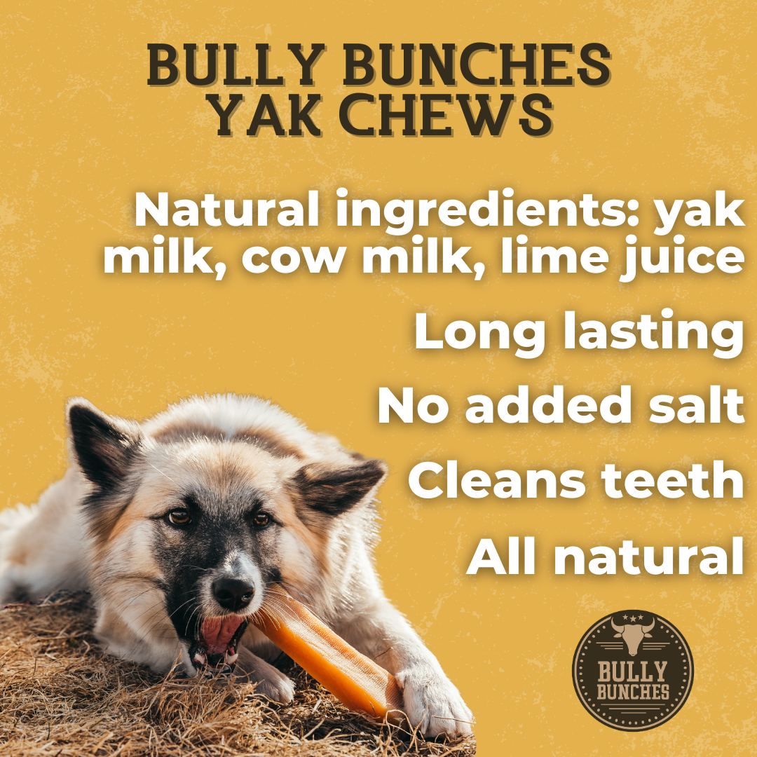 Medium Yak Chews – Himalayan Yak Cheese Dog Chews for Small & Medium Dogs