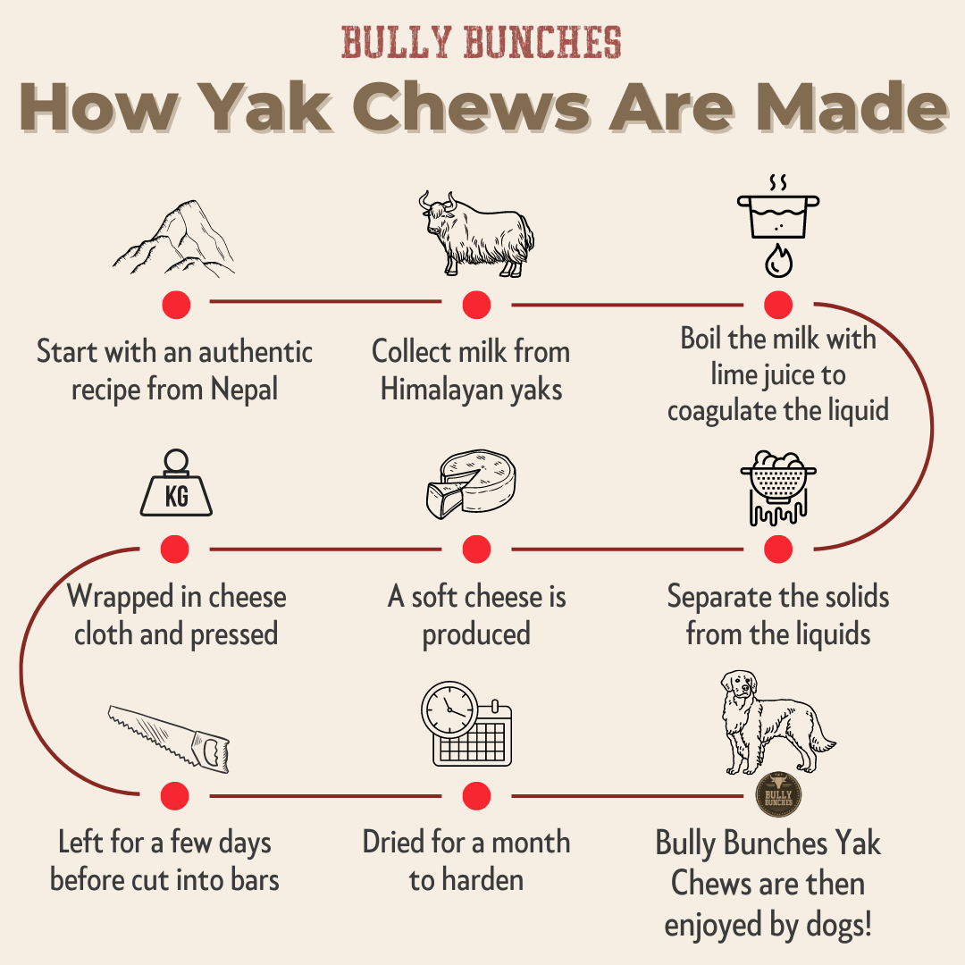 Himalayan Yak Cheese Puffs – Crunchy, All-Natural Dog Treats