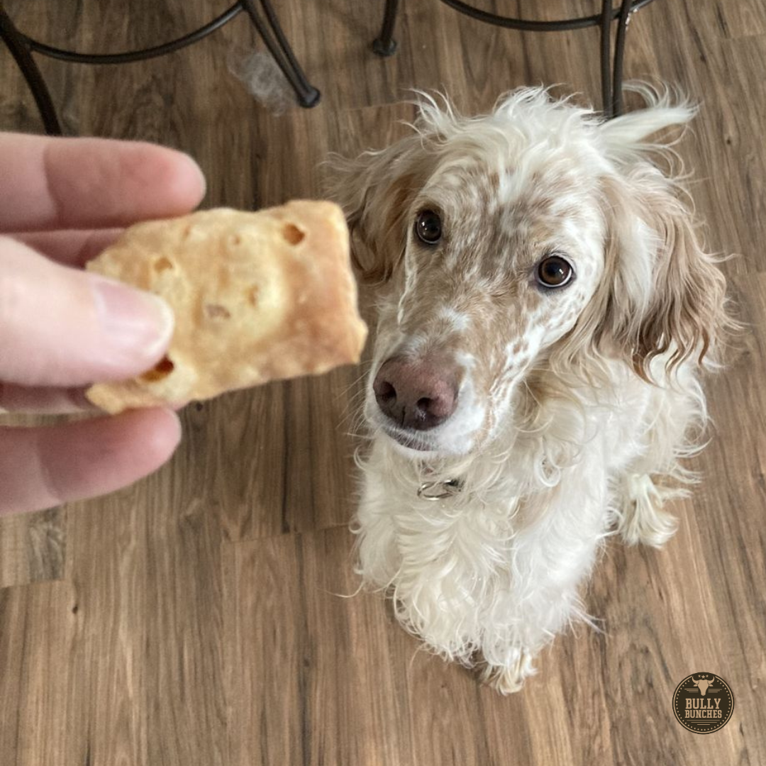 Himalayan Yak Cheese Puffs – Crunchy, All-Natural Dog Treats