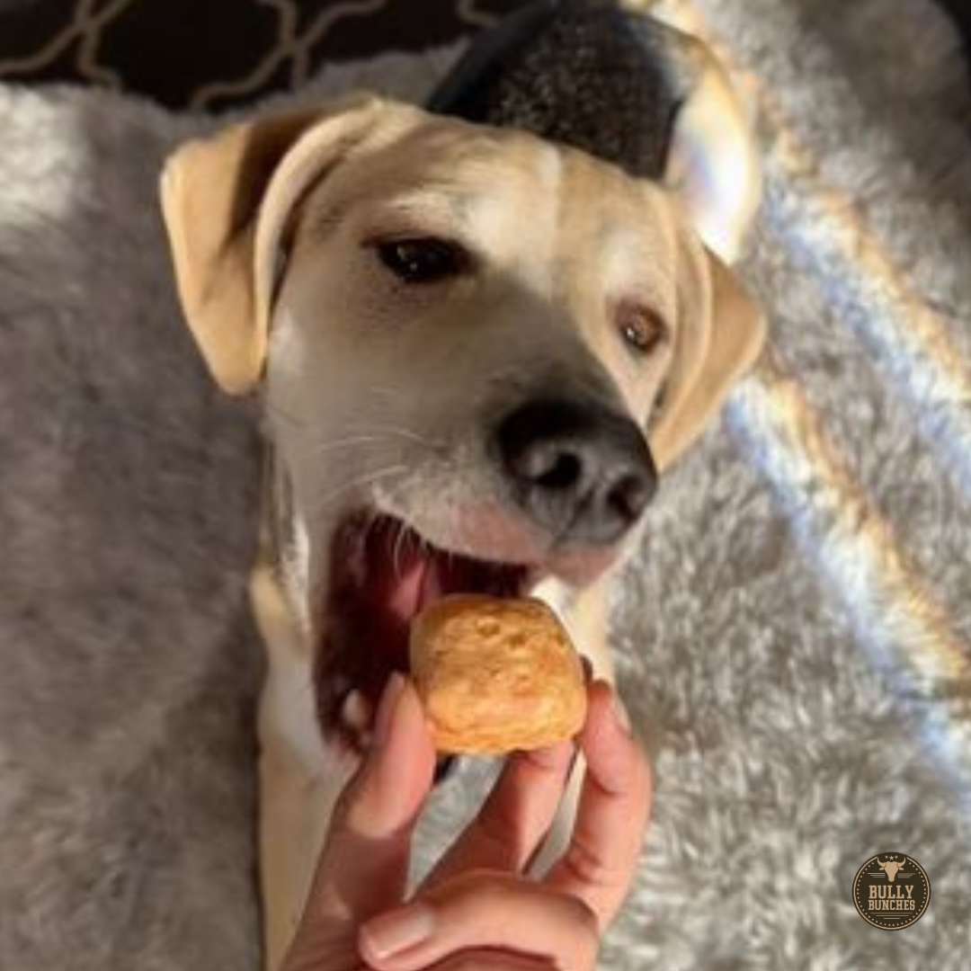 Himalayan Yak Cheese Puffs – Crunchy, All-Natural Dog Treats